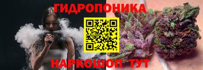 прущие крисы Партизанск