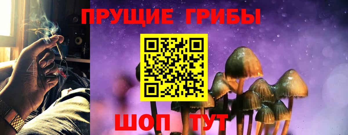 Галлюциногенные грибы мицелий Озёры